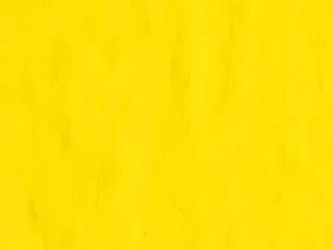 Cadmium Yellow Lemon artists oil color