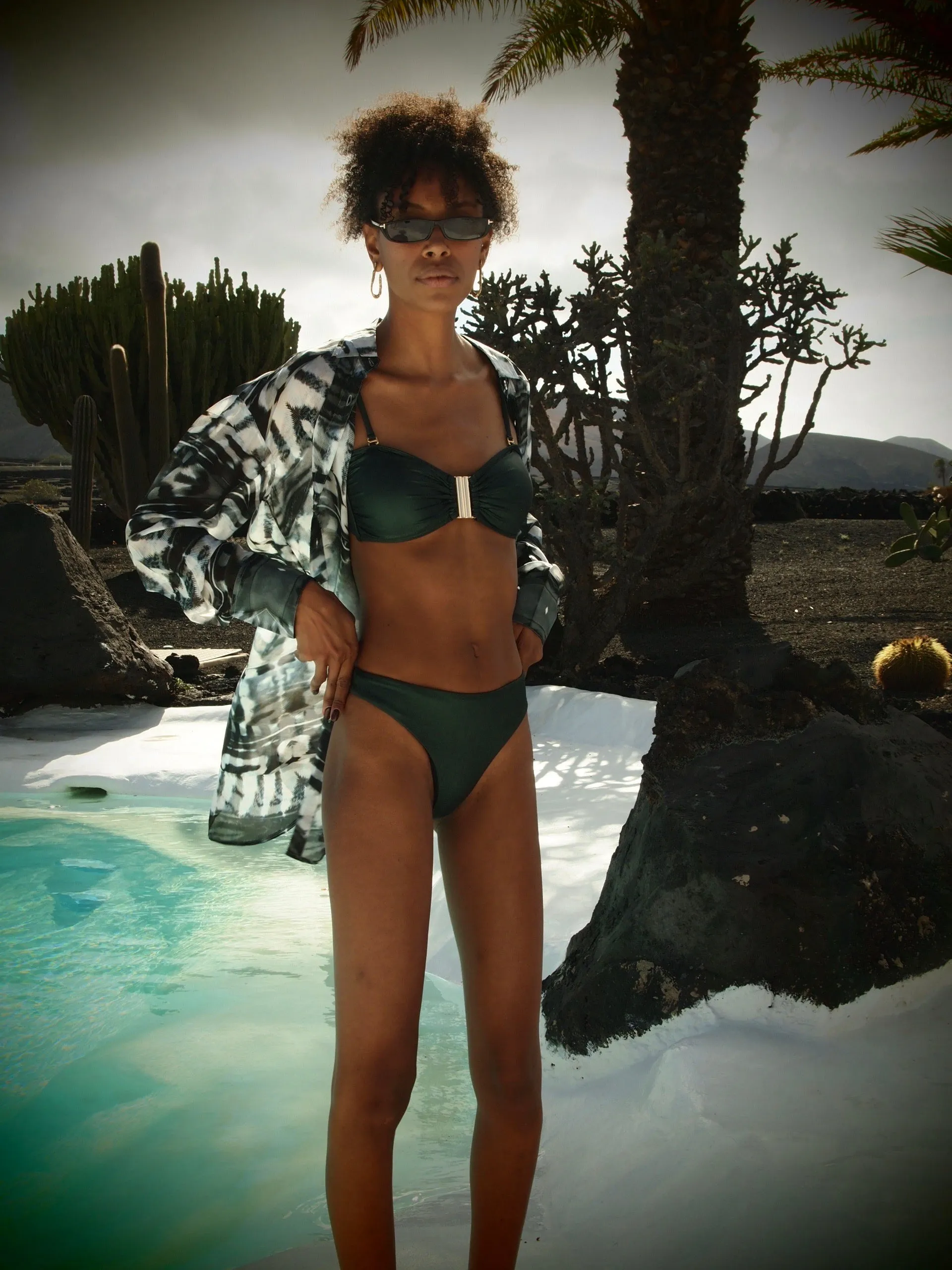 Cheeky Bikini Briefs - Metallic Pine green