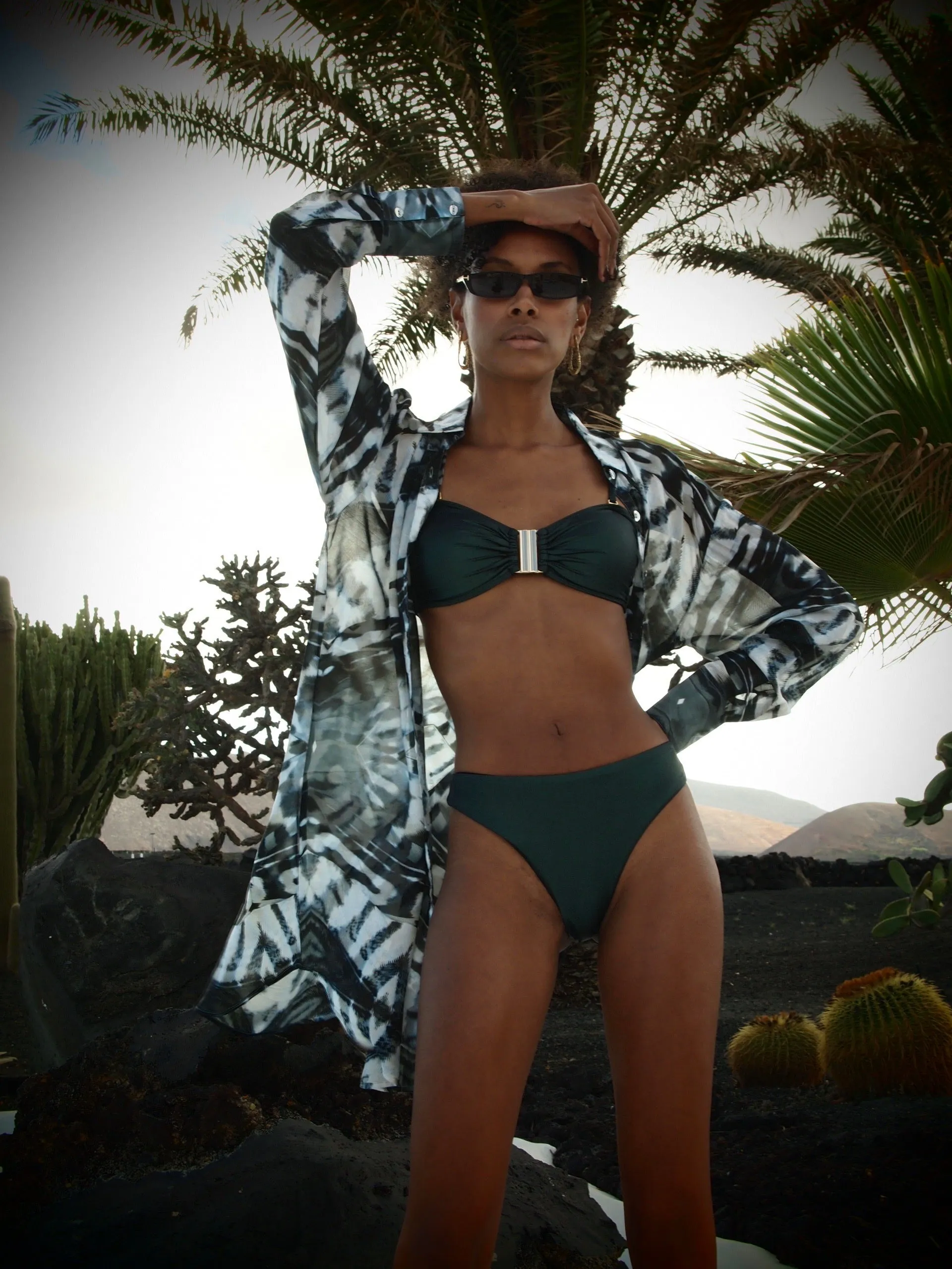 Cheeky Bikini Briefs - Metallic Pine green