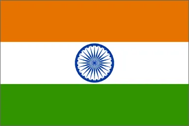India National Flag Printed