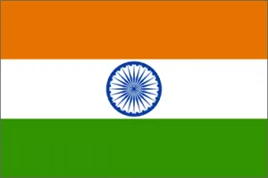 India National Flag Printed