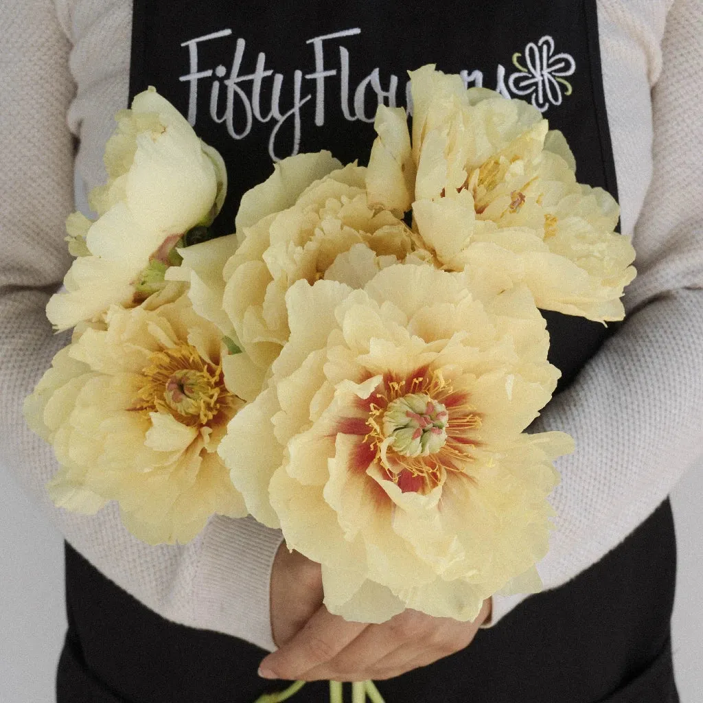 Yellow Peonies for November Delivery